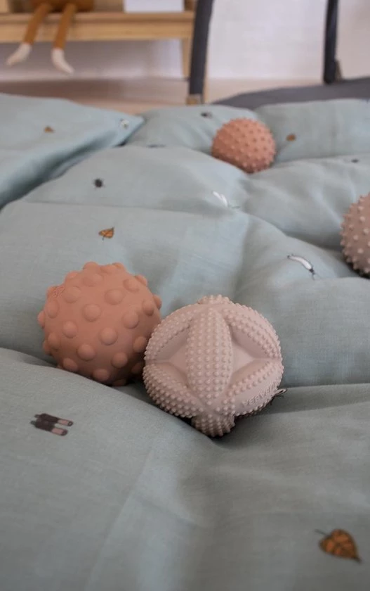 Filibabba - Speelgoed Motorische Vaardigheid - Isa Grijpbal - Blush 4 Filibabba - Speelgoed Motorische Vaardigheid - Isa Grijpbal - Blush - Afbeelding 2