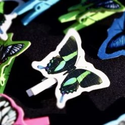 Kolossal Games Papillon - Engelstalig Bordspel 9 Kolossal Games Papillon - Engelstalig Bordspel -Spellenvoor Verkoopwinkel 550x366 37