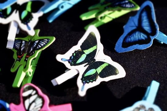 Kolossal Games Papillon - Engelstalig Bordspel 6 Kolossal Games Papillon - Engelstalig Bordspel - Afbeelding 4