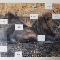 Merkloos 100 Vragen/puzzelspel