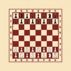 Merkloos Tafeltje Met Schaakbord Print Incl. Stukken - Zwart - MET Opdruk Stukken 7 Merkloos Tafeltje Met Schaakbord Print Incl. Stukken - Zwart - MET Opdruk Stukken -Spellenvoor Verkoopwinkel 550x550 46